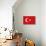 Turkey Country Flag - Letterpress-Lantern Press-Premium Giclee Print displayed on a wall