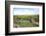 Turkey, Eastern Anatolia Ani, Hripsime Abbey at Arpa Cayi (Ahurjan-Bluehouseproject-Framed Photographic Print