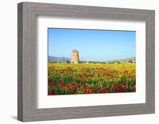 Turkey, Eastern Anatolia, Hasankeyf-Christian Kober-Framed Photographic Print