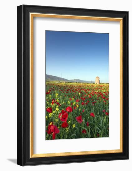 Turkey, Eastern Anatolia, Hasankeyf-Christian Kober-Framed Photographic Print