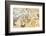 Turkey, Eastern Anatolia, Hatay, Mosaic Museum; Yakto Mosaic-Christian Kober-Framed Photographic Print