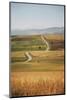 Turkey, Eastern Anatolia on the Way to Kahta-Bluehouseproject-Mounted Photographic Print