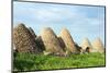 Turkey, Eastern Anatolia, Village of Harran, Beehive Mud Brick Houses-Christian Kober-Mounted Photographic Print