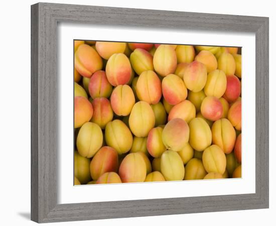 Turkey, Eastern Turkey, Malatya, Bazaar, Apricots-Jane Sweeney-Framed Photographic Print