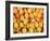 Turkey, Eastern Turkey, Malatya, Bazaar, Apricots-Jane Sweeney-Framed Photographic Print