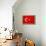 Turkey Flag Design with Wood Patterning - Flags of the World Series-Philippe Hugonnard-Framed Stretched Canvas displayed on a wall