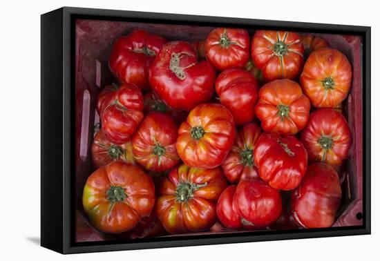 Turkey, Gaziantep, Informally Called Antep, Fresh Vegetables and Fruits are Plentiful. Tomatoes-Emily Wilson-Framed Premier Image Canvas