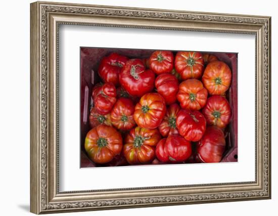 Turkey, Gaziantep, Informally Called Antep, Fresh Vegetables and Fruits are Plentiful. Tomatoes-Emily Wilson-Framed Photographic Print