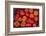 Turkey, Gaziantep, Informally Called Antep, Fresh Vegetables and Fruits are Plentiful. Tomatoes-Emily Wilson-Framed Photographic Print