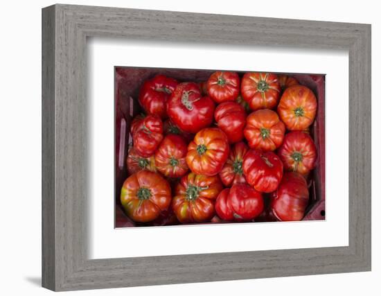 Turkey, Gaziantep, Informally Called Antep, Fresh Vegetables and Fruits are Plentiful. Tomatoes-Emily Wilson-Framed Photographic Print