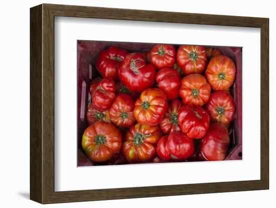 Turkey, Gaziantep, Informally Called Antep, Fresh Vegetables and Fruits are Plentiful. Tomatoes-Emily Wilson-Framed Photographic Print