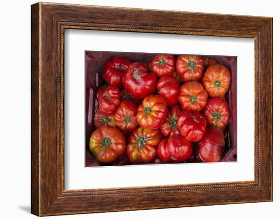 Turkey, Gaziantep, Informally Called Antep, Fresh Vegetables and Fruits are Plentiful. Tomatoes-Emily Wilson-Framed Photographic Print