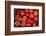 Turkey, Gaziantep, Informally Called Antep, Fresh Vegetables and Fruits are Plentiful. Tomatoes-Emily Wilson-Framed Photographic Print