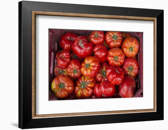 Turkey, Gaziantep, Informally Called Antep, Fresh Vegetables and Fruits are Plentiful. Tomatoes-Emily Wilson-Framed Photographic Print