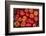 Turkey, Gaziantep, Informally Called Antep, Fresh Vegetables and Fruits are Plentiful. Tomatoes-Emily Wilson-Framed Photographic Print