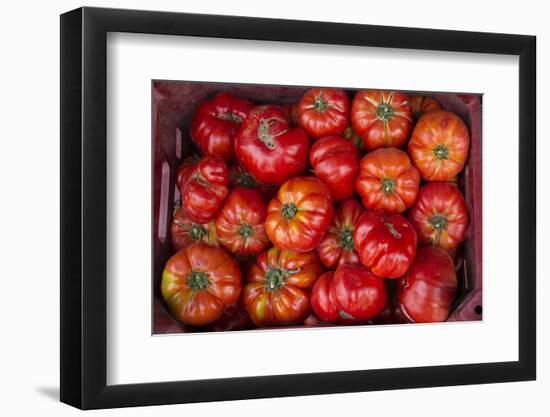 Turkey, Gaziantep, Informally Called Antep, Fresh Vegetables and Fruits are Plentiful. Tomatoes-Emily Wilson-Framed Photographic Print