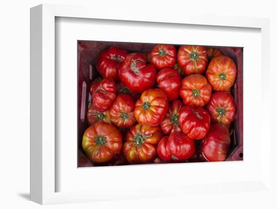 Turkey, Gaziantep, Informally Called Antep, Fresh Vegetables and Fruits are Plentiful. Tomatoes-Emily Wilson-Framed Photographic Print