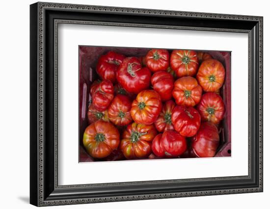 Turkey, Gaziantep, Informally Called Antep, Fresh Vegetables and Fruits are Plentiful. Tomatoes-Emily Wilson-Framed Photographic Print