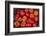 Turkey, Gaziantep, Informally Called Antep, Fresh Vegetables and Fruits are Plentiful. Tomatoes-Emily Wilson-Framed Photographic Print