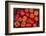 Turkey, Gaziantep, Informally Called Antep, Fresh Vegetables and Fruits are Plentiful. Tomatoes-Emily Wilson-Framed Photographic Print