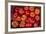 Turkey, Gaziantep, Informally Called Antep, Fresh Vegetables and Fruits are Plentiful. Tomatoes-Emily Wilson-Framed Photographic Print