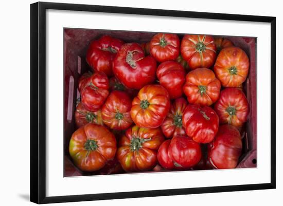 Turkey, Gaziantep, Informally Called Antep, Fresh Vegetables and Fruits are Plentiful. Tomatoes-Emily Wilson-Framed Photographic Print