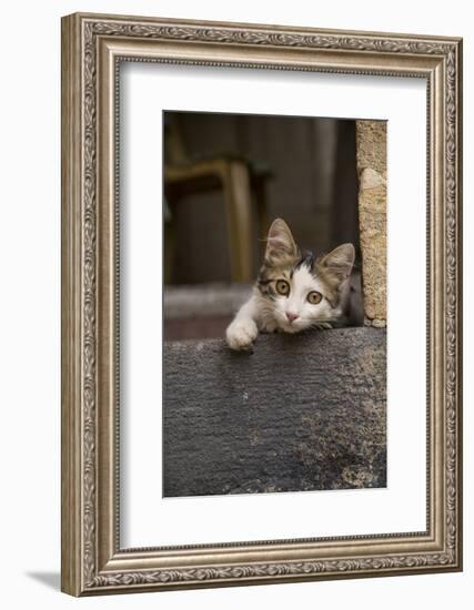 Turkey, Gaziantep, Kitten Peeking Out from Doorway-Emily Wilson-Framed Photographic Print