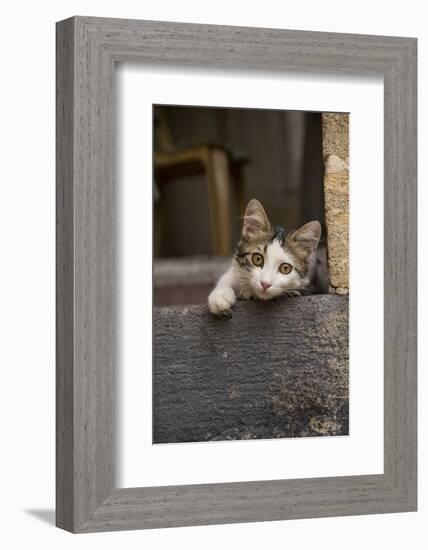 Turkey, Gaziantep, Kitten Peeking Out from Doorway-Emily Wilson-Framed Photographic Print