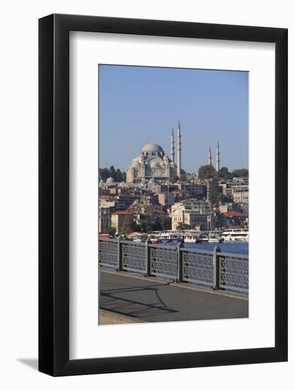 Turkey, Istanbul, Blue Mosque and Topkapi Palace.-Emily Wilson-Framed Photographic Print