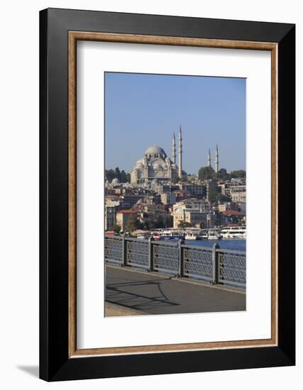 Turkey, Istanbul, Blue Mosque and Topkapi Palace.-Emily Wilson-Framed Photographic Print