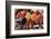 Turkey, Istanbul. Spice Bazaar.-Emily Wilson-Framed Photographic Print