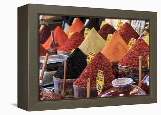 Turkey, Istanbul. Spice Bazaar.-Emily Wilson-Framed Premier Image Canvas