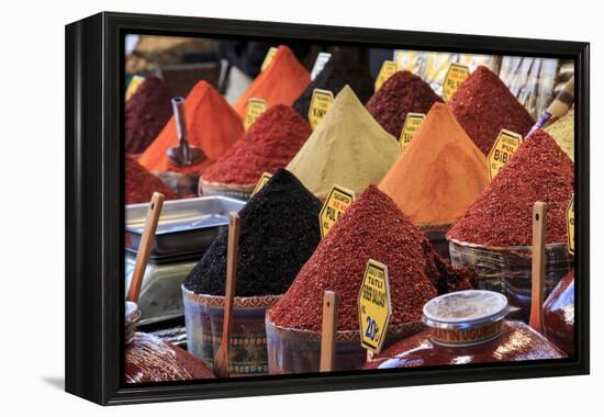 Turkey, Istanbul. Spice Bazaar.-Emily Wilson-Framed Premier Image Canvas