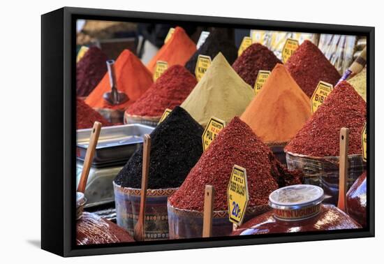 Turkey, Istanbul. Spice Bazaar.-Emily Wilson-Framed Premier Image Canvas