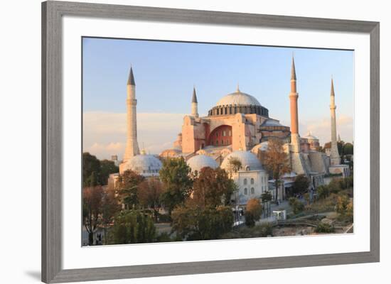 Turkey, Istanbul. Sultan Ahmet Mosque, Rooftop view.-Emily Wilson-Framed Premium Photographic Print