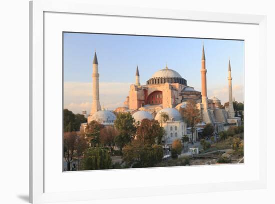 Turkey, Istanbul. Sultan Ahmet Mosque, Rooftop view.-Emily Wilson-Framed Premium Photographic Print