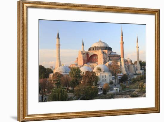 Turkey, Istanbul. Sultan Ahmet Mosque, Rooftop view.-Emily Wilson-Framed Premium Photographic Print