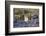 Turkey, Izmir, KUSAdasi. the Ruins of Ephesus-Emily Wilson-Framed Photographic Print