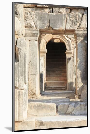 Turkey, Izmir, Selcuk, ancient city Ephesus. Odeon.-Emily Wilson-Mounted Photographic Print