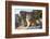 Turkey, Izmir, Selcuk, Cat in the ruins of Ephesus-Emily Wilson-Framed Photographic Print