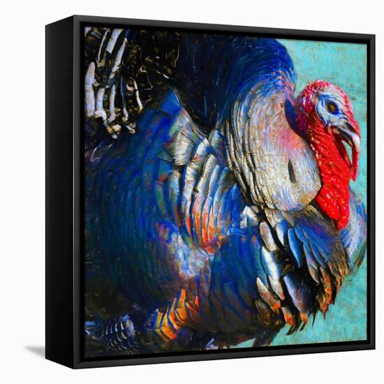 Turkey Lurky, 2018,-Helen White-Framed Premier Image Canvas