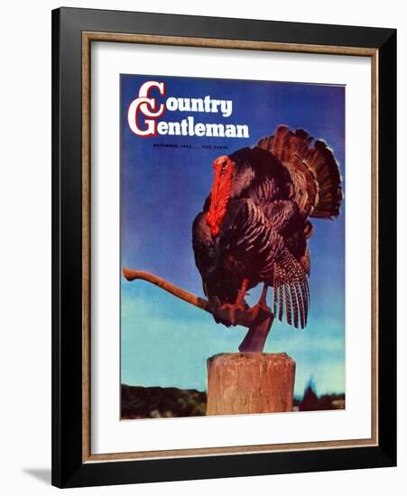 "Turkey on Hatchet," Country Gentleman Cover, November 1, 1941-null-Framed Giclee Print