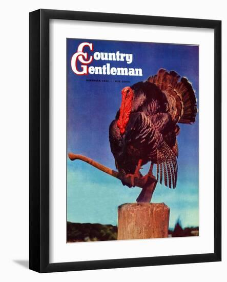 "Turkey on Hatchet," Country Gentleman Cover, November 1, 1941-null-Framed Giclee Print