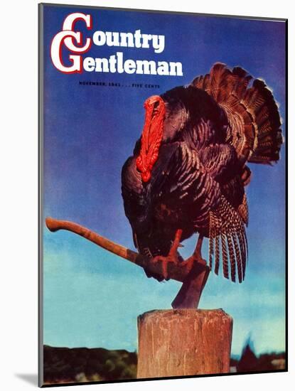 "Turkey on Hatchet," Country Gentleman Cover, November 1, 1941-null-Mounted Giclee Print