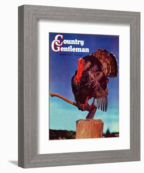 "Turkey on Hatchet," Country Gentleman Cover, November 1, 1941-null-Framed Giclee Print