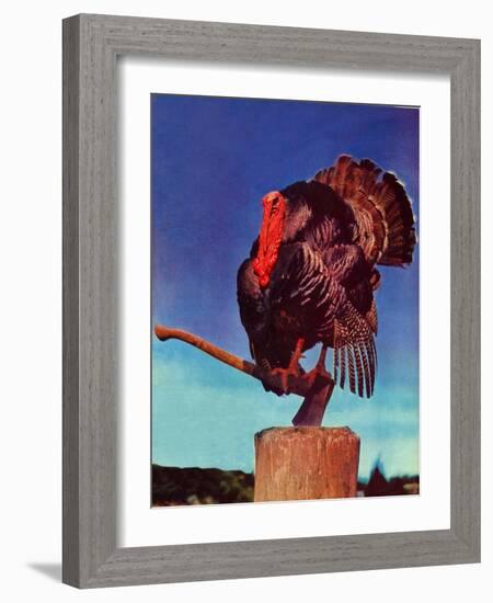 "Turkey on Hatchet,"November 1, 1941-null-Framed Giclee Print