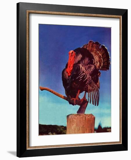 "Turkey on Hatchet,"November 1, 1941-null-Framed Giclee Print