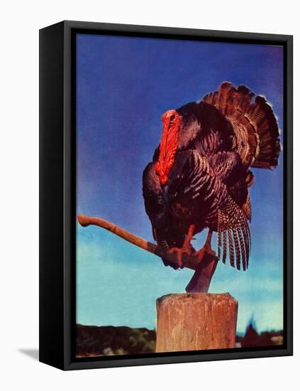 "Turkey on Hatchet,"November 1, 1941-null-Framed Premier Image Canvas