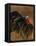 Turkey Showing Mating Display-Chase Swift-Framed Premier Image Canvas