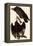 Turkey Vultures-John James Audubon-Framed Premier Image Canvas